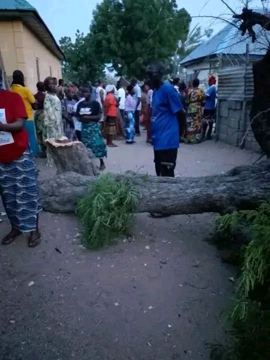 Two Women Reportedly Die After Electric Pole Collapses During Tree Felling in Plateau Community