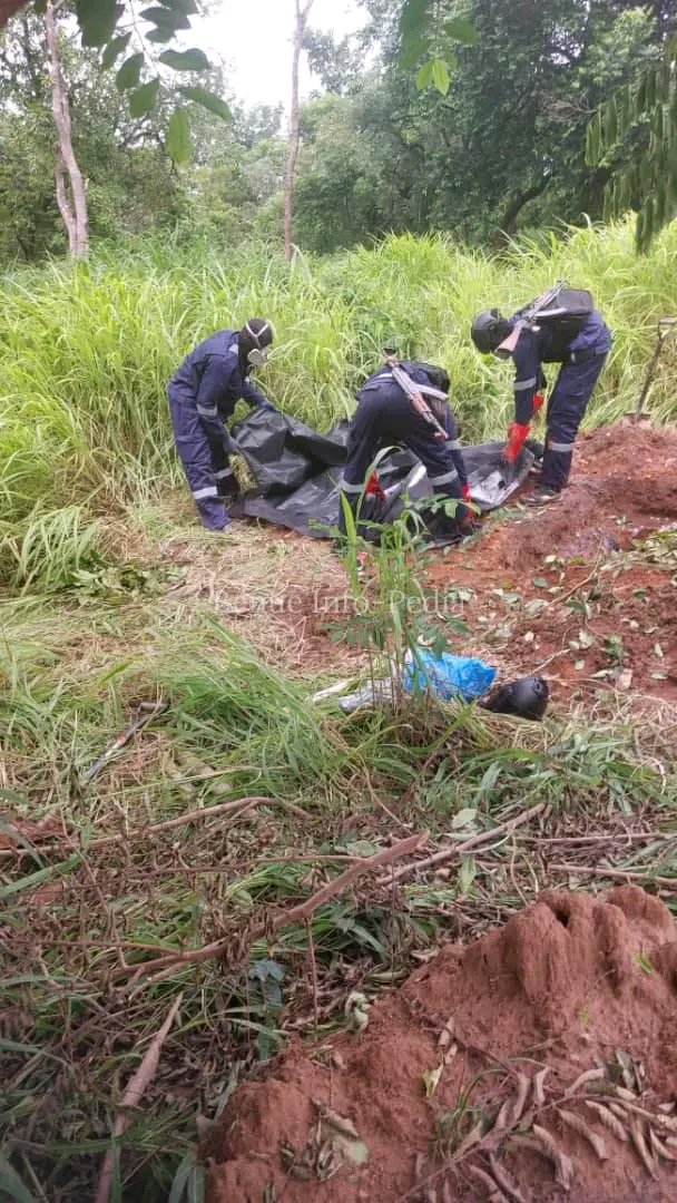 Security Sources Claim Recovery of Baccujo’s Remains Sends Shockwaves Through Bandit Circles