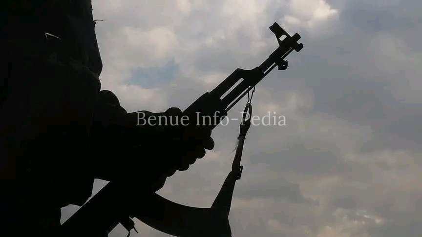 Local hunters, vigilantes, and military personnel reportedly repelled the attackers before they could abduct the traditional ruler.