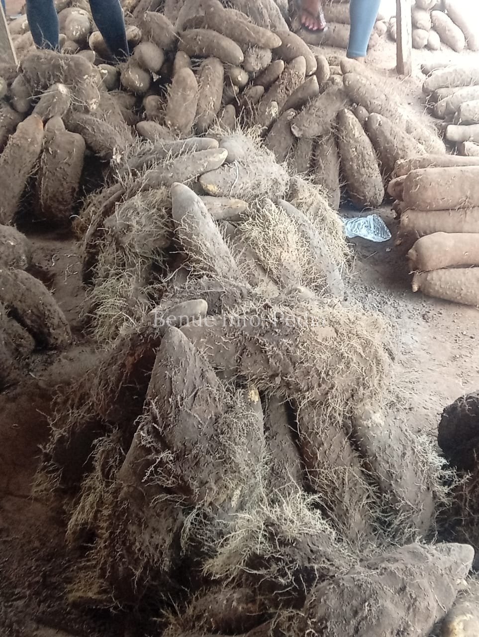 Aliade Market Price Update: Soya Beans Hits ₦95,000, Egusi ₦130,000 Per 50kg bag